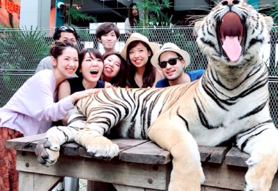 毎月3連休のある美容室アビエ